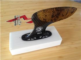 472596 10151476004557655 85653636 o