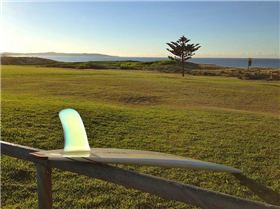 8739001113 b2bda339a9 c