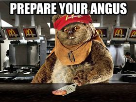 prepare-your-angus-flip gp 847687