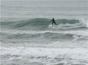 arboretum 170 (640x480)