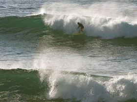 8809493417 010554bf64