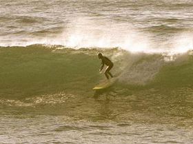 8809495239 b96a0322a0 c