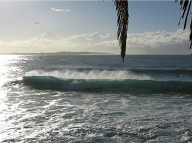 8809542845 5d5f8bd6b1 c