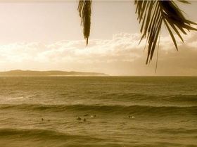 8820091356 01d9c5b3d6 c