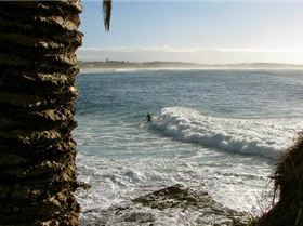 8820098656 7129b233b0 z