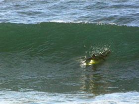 8820111220 8391c71fa9 z