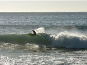 8835247715 39c72a7052 c