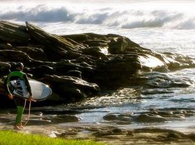 8835890314 ab4001b161 z