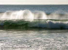 8835862186 f3d4e11e29 z