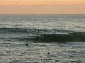 8812225479 7e2aa3390f z