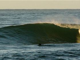 8822871682 76c6d6c799 z