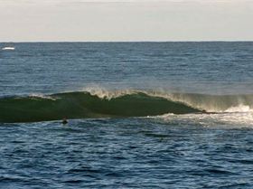 8822900134 c02c12dcfa z