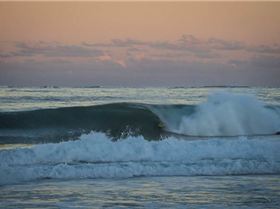 mfsprout 20130526 1453