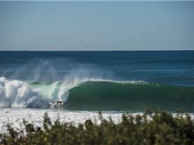 mfsprout 20130526 975