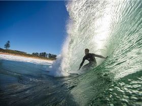 mfsprout 20130526 664