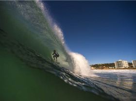 mfsprout 20130526 433