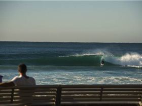 mfsprout 20130526 391