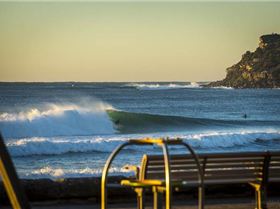 mfsprout 20130526 16