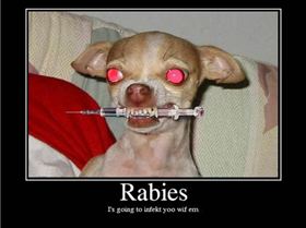 rabies
