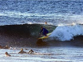 5545773685 d070e24c86 b