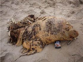 945969 10200912852878125 1188066759 n