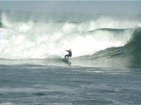 13940 190719316509 6851830 n