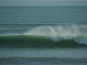 13940 188672321509 996033 n