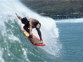 1231318 532852123435858 1807783466 n