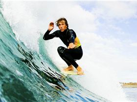 1374129 546902868697450 480011296 n