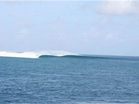 chickens-core-search-shot