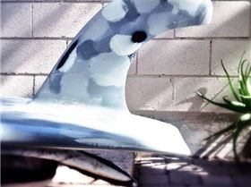 1904029 705889389443388 128715464 n