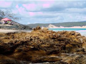 1978540 10203101785163823 1985183149 o