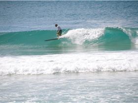 1980405 10203137128487384 913387613 o