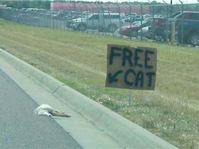 free-cat