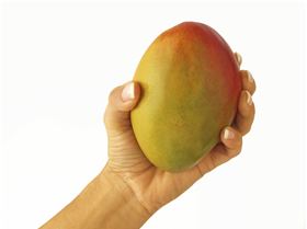 mango in the hand