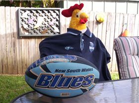 Blues Chook