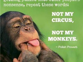 10360464 10152551882813628 3075317463844957508 n