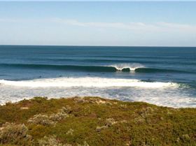 10428339 320363411457131 1764633414734570557 o