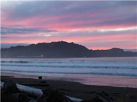 Towball/Gizzie @ Pipe