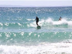 10536130 10204461432234150 3864902378573441062 o