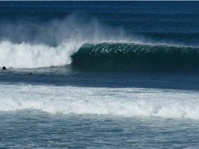 Hammers bk on the west coast 120 kgs off da rails