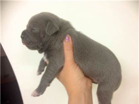 Screen Shot 2014-10-18 at 8.37.56 pm