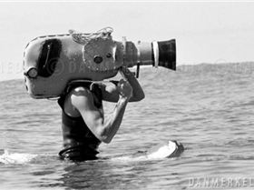 merkel0035 filming big wed-