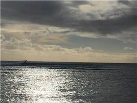 10866957 310828909107248 1191386716 n