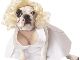 spin prod 1039564512