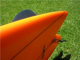 15711939853 f6c44696e8 z