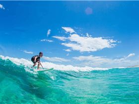 10946120 10152998312765225 1814066794 o