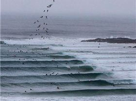 11013037 744464715661479 7899755093774408361 n