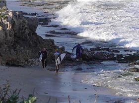 10313709 10204607945978996 244098314338895210 n