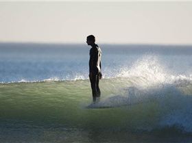 as surf nose ride 800